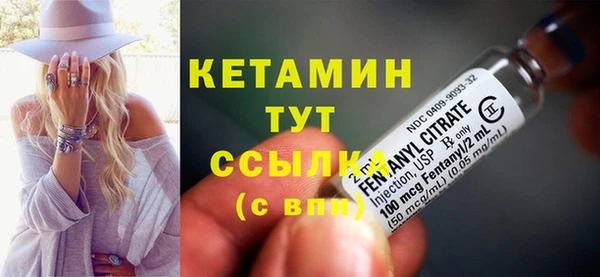 крисы Дмитров