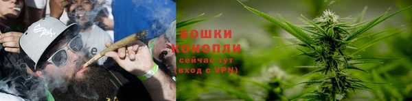 ешки Ельня