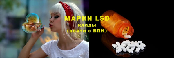 крисы Дмитров