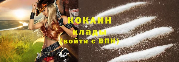 крисы Дмитров